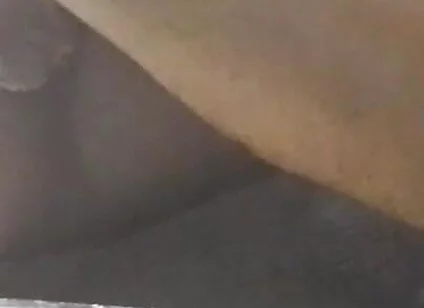 Temptingtalex