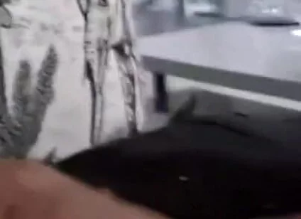Big Cock