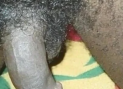 Fucking My Bed Adores Enough Pleasure
