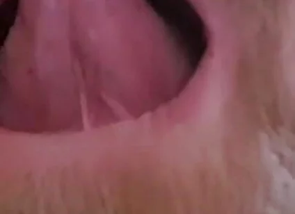 Mature Chubby Bear Toothless. Watch Inside My Toothless Mouth and Meet My Tongue - Mouth Fetish