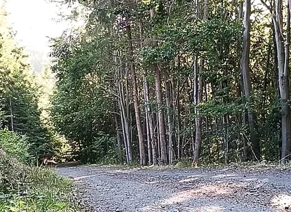 Scooter Rider Outdoor Masturbation