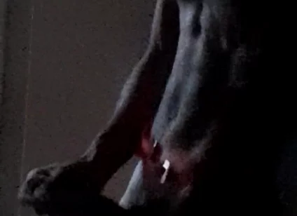 Xmas Masturbation