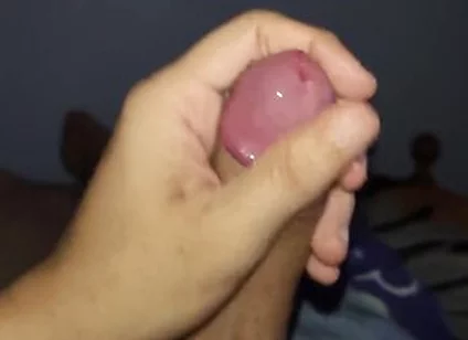 The Most Beautiful Cock You Will See Today