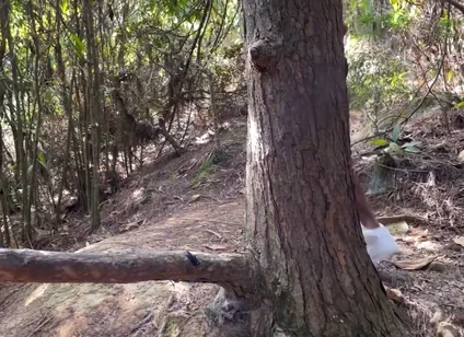 A Curious Heterosexual Boy Saw Me Masturbate in the Forest and We Ended up Fucking