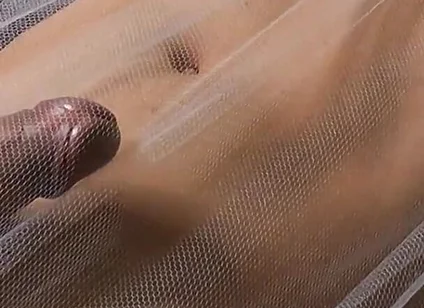 I Bought Some Transparent Sheets so You Can Enjoy My Wet Dream