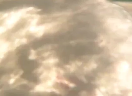 I Cum Just for the Pleasure of Feeling Free, Naked on a Public Beach