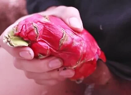 I Was So Horny I Fucked A Dragon Fruit