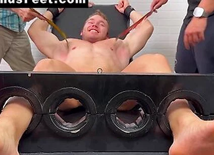 Muscular Alpha Chad Tickled Everywhere By Dan And Chance