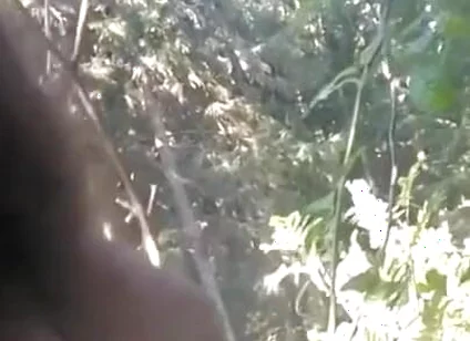 Pissing in My Backyard