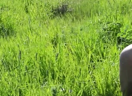 Little One