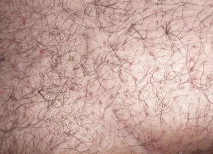 A Close up Ass Worshiping and Fingering
