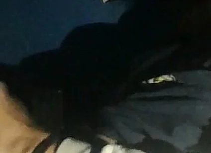 Watching Videos of Me Jerking