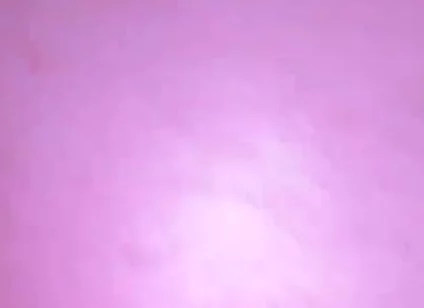 Anal Fun