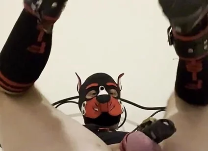 Gaping Gay Puppy Ass After Heavy Fisting Night