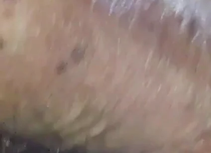 Feeling Horny Now