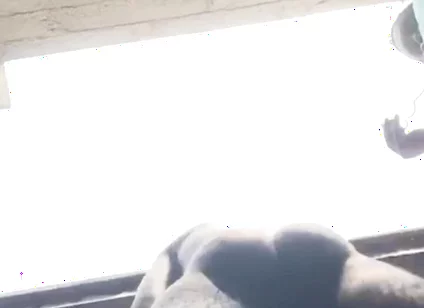 Doggy Bareback Below View