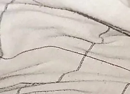 My Big Cock Without Condom Fucking Pussy