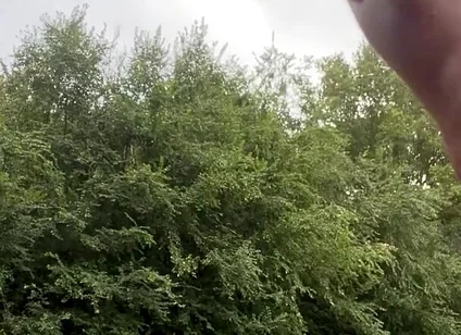 Jerking in the Woods