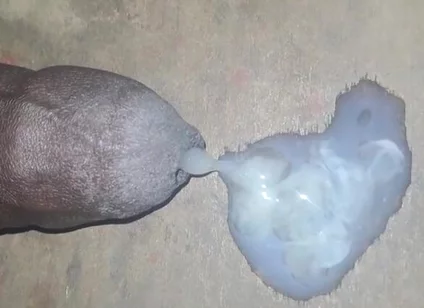 A Big Black Cock Full of Cum
