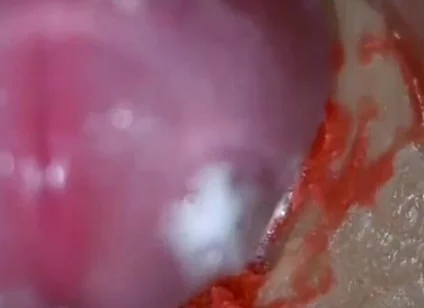 Compilation Creampie Part 1 POV