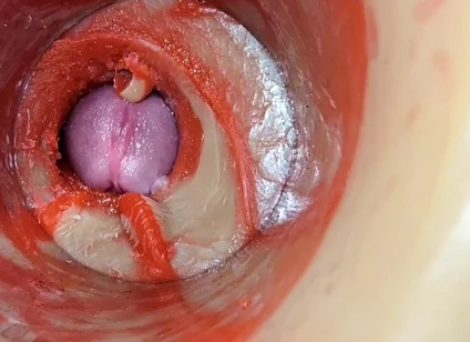 Compilation Creampie Part 2 POV