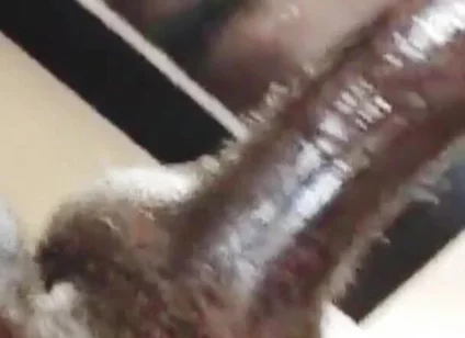 Straight BBC Plays with Ass and Cums in Mirror