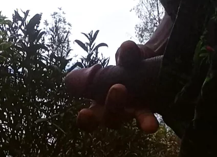 Solo Outside