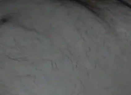 Bear Daddy Cums