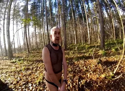 Cold Day in the Woods