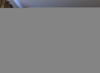 In the Bedroom with Braxton
