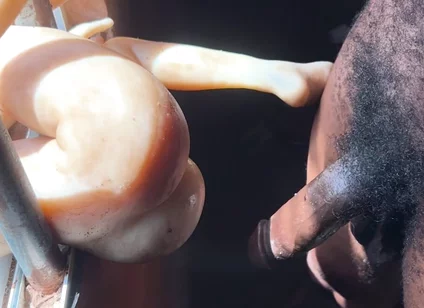 The Prisoner Cum Hard Needed to Help Cum More