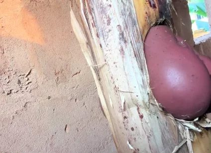 The Prisoner Find Hard Way to Sex