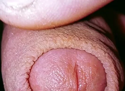 Caress and Suck a Small