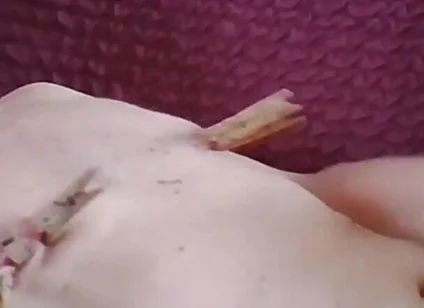 Nipple Suckers Bob and Jerk off with Clamps