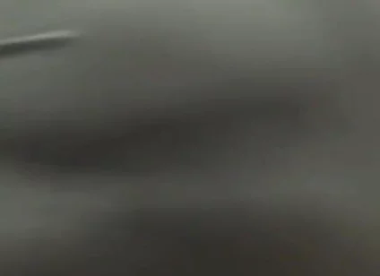 Essasexe 2