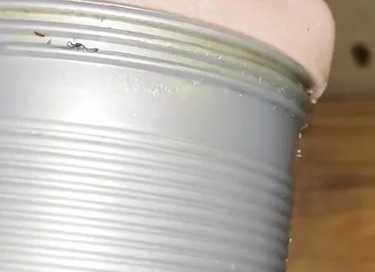 Deep Fucking My Fleshlight