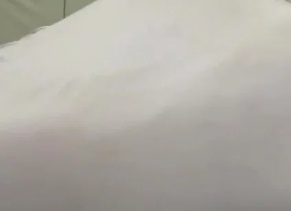 Essa Fake