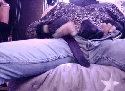 Stepdaddy Is Fooling Around Part 3 (cumming)