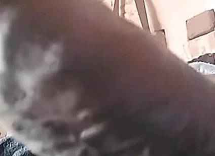 My Cock Is Very Hard and Long