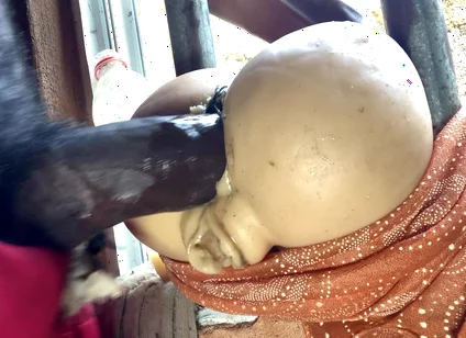 Desi Real Anal Hot Sex Indian Style