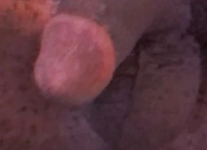 Wanna Get Fucked and Breed??