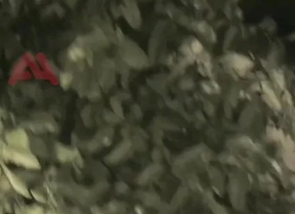 Amateur Boy Sucks a Guy He Found Jerking-off in the Street