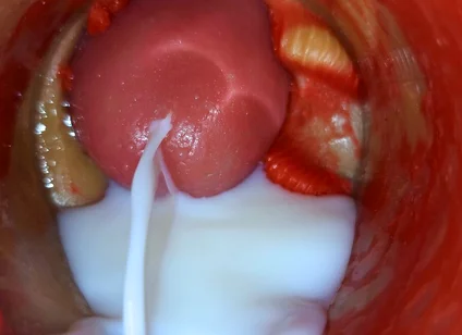 Inside POV Camera Captures an Intense Climax