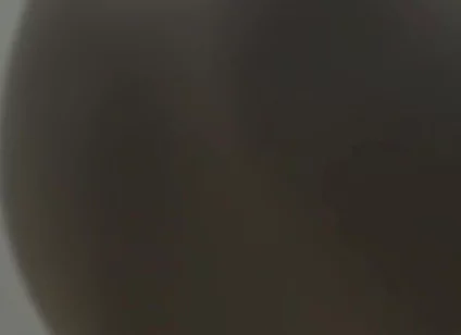 Vertical argument 4