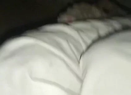 Night Time Vlog It Home and. Sex Girl Friend