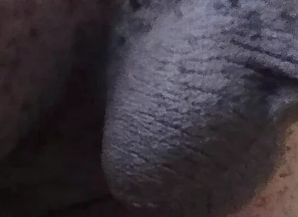 Come See My Hairy Huge Balls