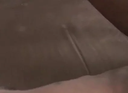Stepdaddy Champ's Got a Big Ole Dick for You to Play