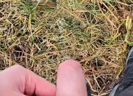 A Bit Risky Peeing - POV Outdoor Male Pee During a Nature Walk
