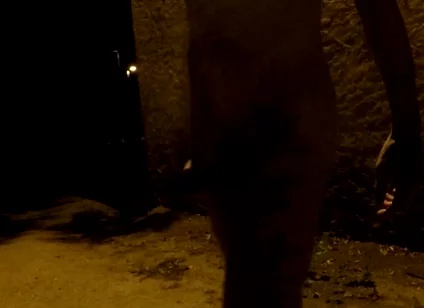 Crusing in a Park at Night - Getting Naked 2