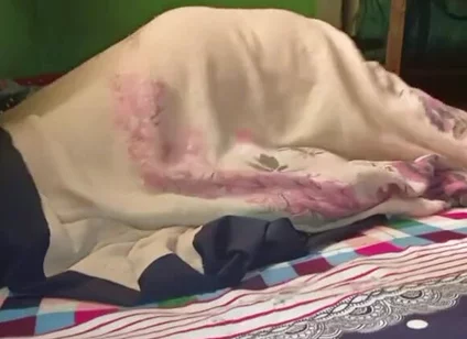 Hard Raw Freaky Fucks
